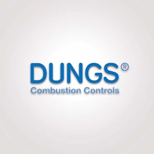 Dungs